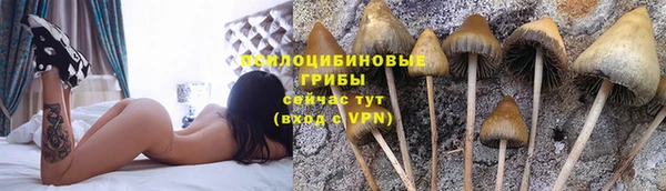 герыч Рославль