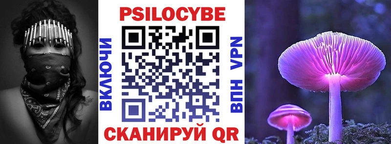 Псилоцибиновые грибы мицелий  Шумиха 